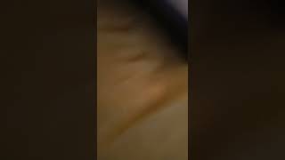 The Spongebob Cookiepants 2005 - Part 03