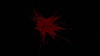 ACTION ESSENTIALS Blood Hit 04