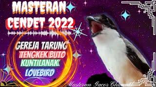 Masteran Cendet Full Variasi 2022 | Tembakan Roll Speed Rapat Kunti, Tengkek Buto, Gereja Tarung, Lb