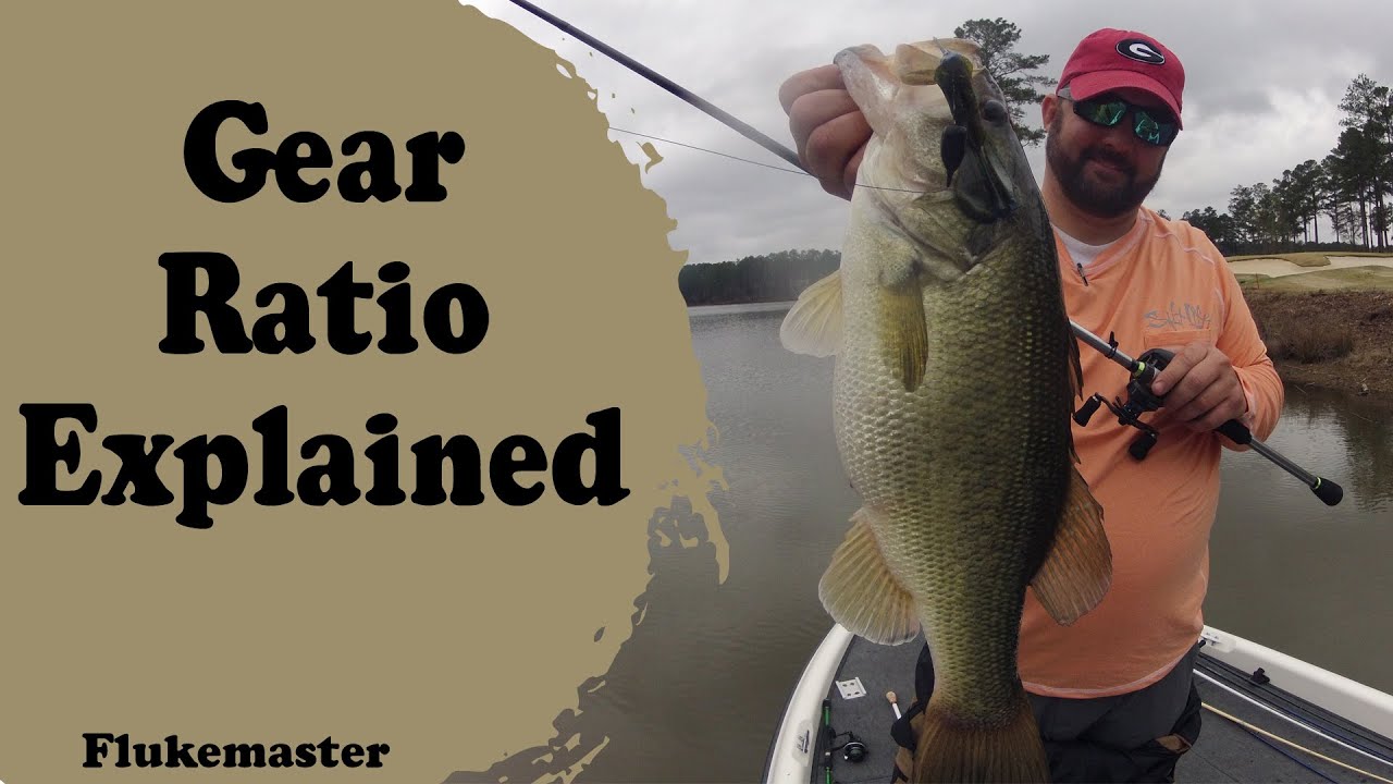 In the Truck Again - Fishing Reel Gear Ratios Explained 