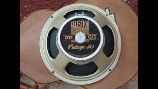 Celestion 12