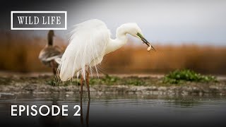 India Unveiled: The Hidden Treasures of Nature | Destination Wild: India's Lost Worlds | Episode 2