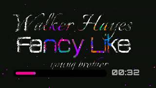 Fancy Like - Walker Hayes