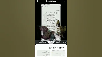 يالابس البرقع للشاعر ابومحسن شيخ 