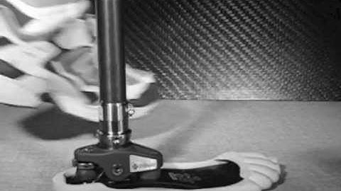 Foot Function - Tribute