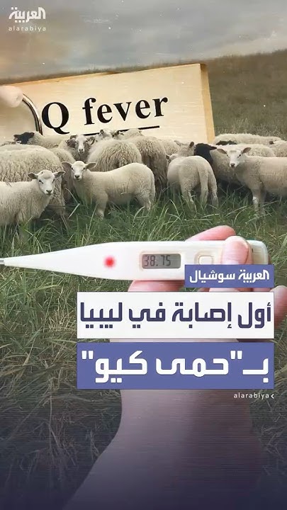     - -     
 - نشر قبل 15 دقيقة