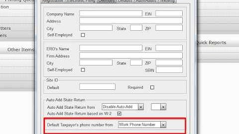 Overrides Tab - CrossLink Professional Tax Software
