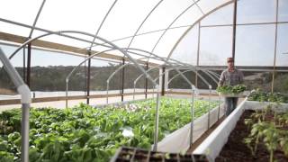 What is the Future of Sustainable Agriculture? (Kickstarter video)