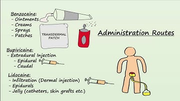 Local Anesthetics - Mechanism, Indications & Side Effects