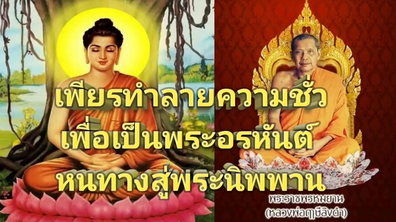 1/38-โทษละเมิดพระวินัย (จบแผ่นที่ 1/38) I พระธรรมเทศนาโดยหลวงปู่ฤาษีลิงดำ วัดท่าซุง