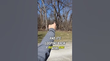 Epic Tree Removal  Unleashing the Power of Rigging Techniques