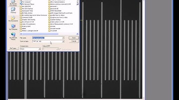 How to calibrate pixels in Qcapture pro or Image pro plus