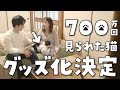【祝グッズ化】700万回みられた猫「オレオ」について夫婦で語り尽くす