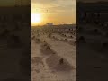 Madina Jannatul Baqi Prayer #shorts #viral #trending #youtube