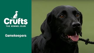 Gamekeepers Competition Final | Crufts 2022