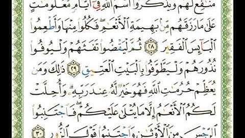 سورة الحج 22 - 114  شيرزاد عبد الرحمن طاهر - قراءة مرتلة