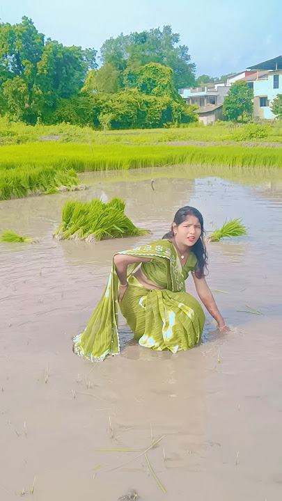 kaili ropaniya nirahua #bhojpuri #bhojpurisong #khesari