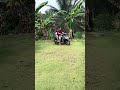 Suasana di depan rumah #shot #viralvideo