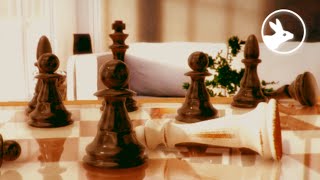 Chess a Narcissus project by Rispat Momit
