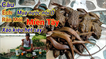 Mùa Nước Lũ Về,Câu Ếch, Rắn Mối Quá Đã l Dân Quê 66.