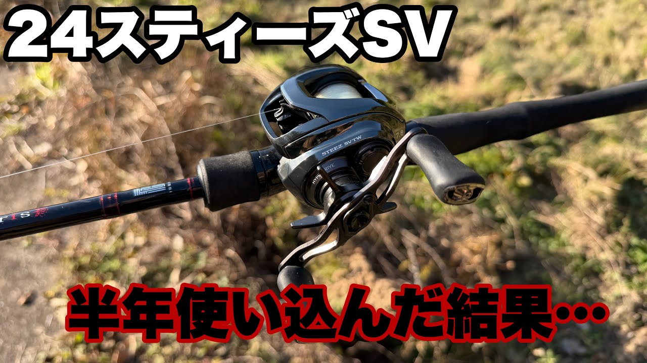 24 Steez SV Impressions] I've used it extensively, so here are my