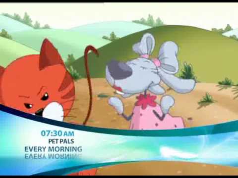 Exciting and Colorful Cartoon Pet Pal on Ebru TV! - YouTube