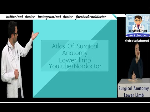 Atlas Of Surgical Anatomy Of Lower Limb / Anatomy Lectures/ no1doctor/ dratef/ Mrcs/ Frcs/ Usmle