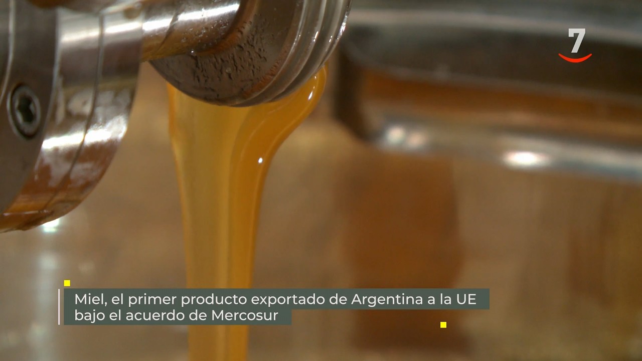 Flash El campo al día (06/05/2026) Miel, primer producto exportado a Argentina por UE bajo Mercosur