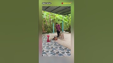 Đẳng cấp của việc nướng cá😂#haihuoc #trending #vairalvideo #funny #thinhhanh #xuhướng #fypviralシ