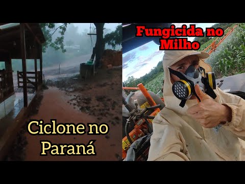 Cyclone in Paraná and Fungicide Application on Corn (Forseed 575 and FS 566)