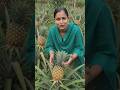 🍍 Fresh Pineapple Harvesting in Farm | Incredible Farming #shorts #organic #farming