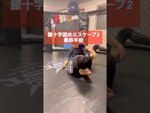 KNEEBAR ESCAPE 2膝十字固めエスケープ②#膝十字固め #KneebarEscape #柔術 #BJJ #グラップリング #MMA #夜に聴きたい洋楽