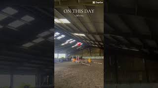 #horse #ponymalta #horseenthusiast #equestrian #mylitlepony #horsefan #equestrianjourney #jumping