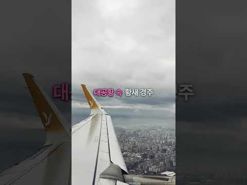유언장 하나가 도시 전체를 '출산 레이스'에 몰아넣었다