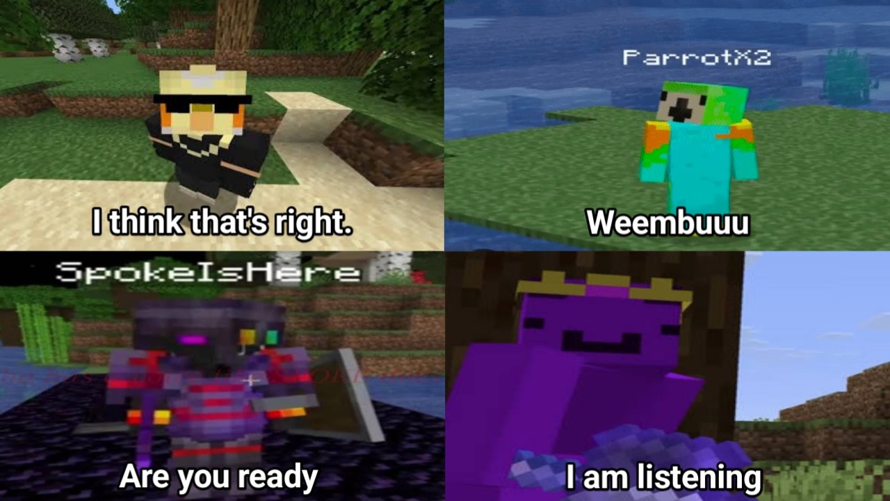 Нестабильные игроки SMP, основной момент Minecraft хардкор SMP