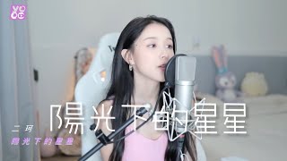 Video thumbnail of "二珂 《陽光下的星星》(純享音樂) 金海心~歌曲"