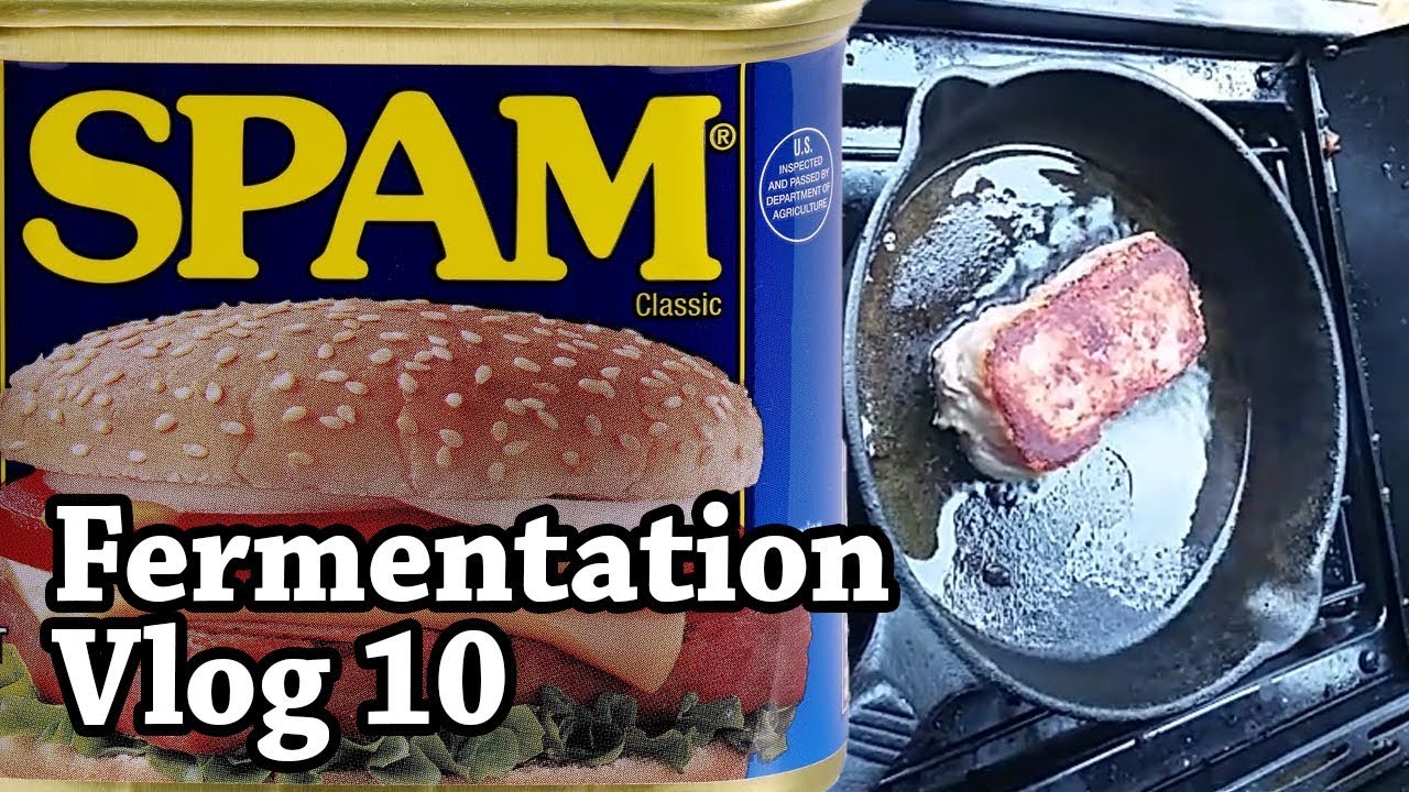 I Fermented SPAM with Koji, and it's MAGIC (Fermentation Vlog 10) 