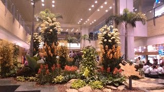 A walk through Singapore Changi airport terminal 2