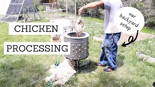 Chicken Processing Small Scale | OUR BACKYARD SETUP | Bumblebee Apothecary