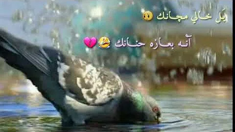 ØªØ­Ù…ÙŠÙ„ Ø®Ø§Ù„ÙŠ Ù…ÙƒØ§Ù†Ùƒ