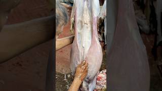 Exclusive Video! Goat Meat Processing in the Market #reels #shorts #foodie