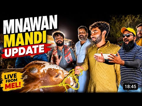 Mnawan Mandi Update Qurbani 2026 ￼Sasti ya Mehgi | Lahori Shauk | Desi Sahiwal Cholistani Bachre ￼