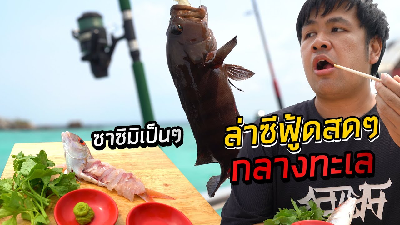เหมาเรือยอร์ชล่าซีฟู้ด กินปลาดิบสดๆกลางทะเล
