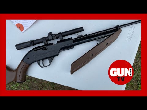 GUN TEST: Crosman 760 Pumpmaster Classic