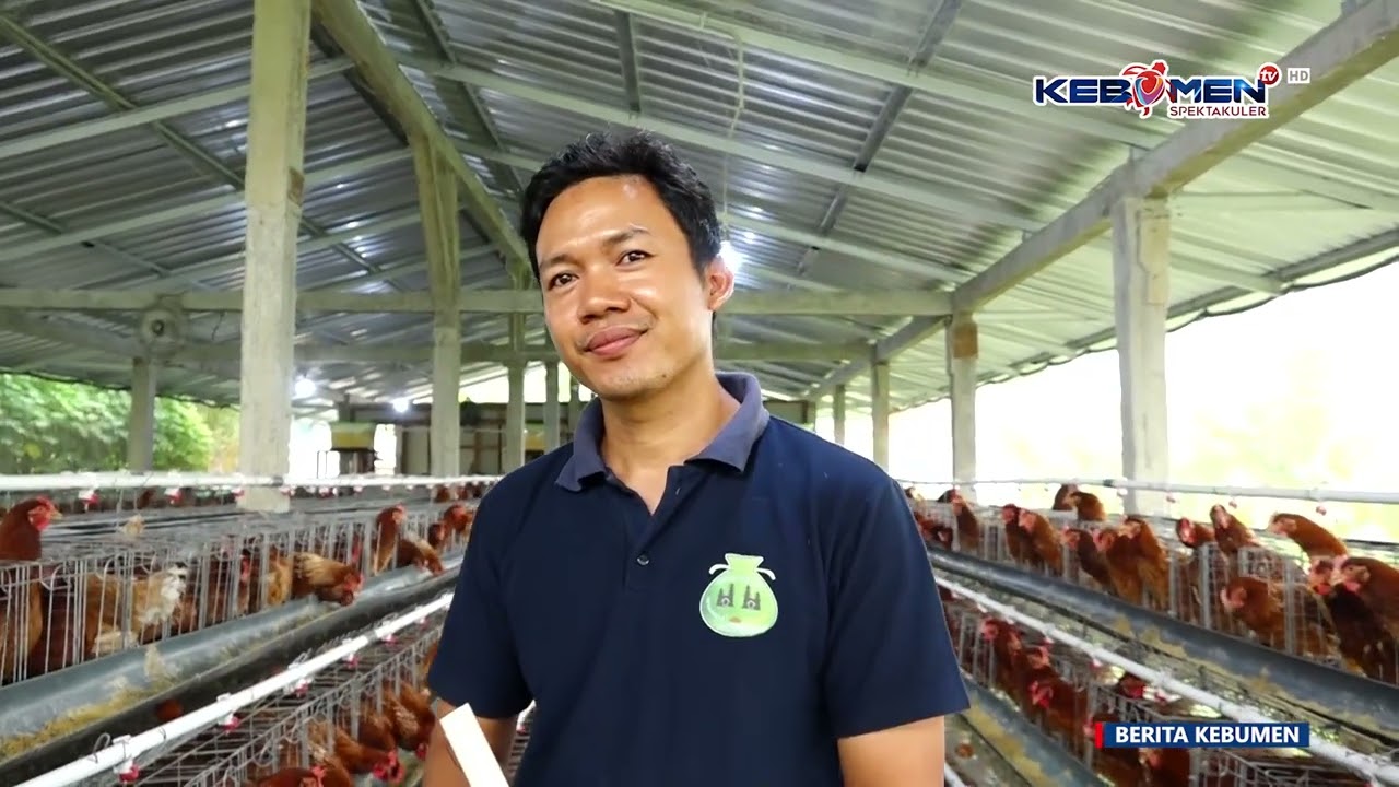 Desa Kebulusan Kembangkan Peternakan Ayam Petelur untuk Ketahanan Pangan