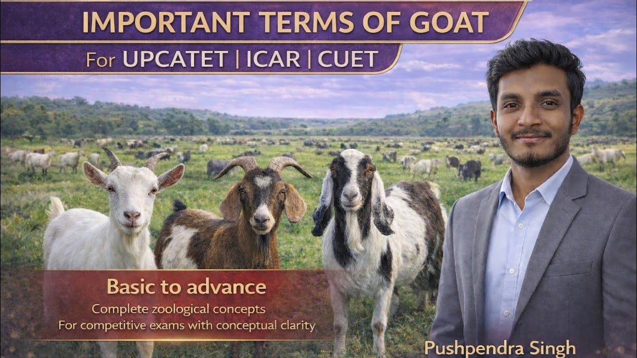 //Important terms of goat//Animal husbandry// Upcatet ICAR Cuet//