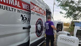 ARL assists in rescue of more than 100 dogs from northwestern Iowa property