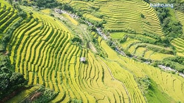 Hưng Đạo - Bảo Lạc