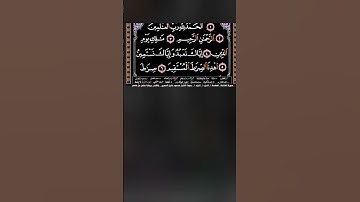 سورة الفاتحة#محمود خليل الحصري  قصر المنفصل#surah #اكسبلور #المصحف #تيك_توك #القزابري #دويتو #العبري