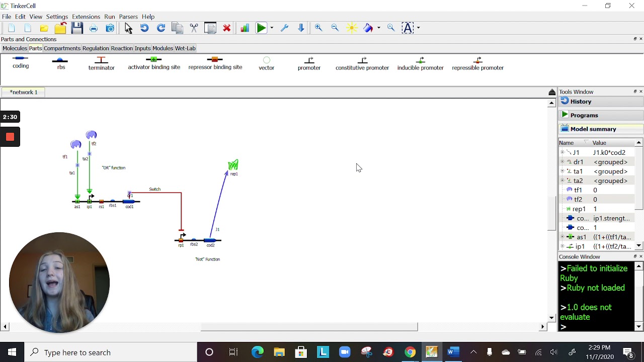 Simulating a Genetic NOR Logic Gate